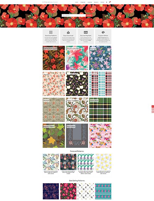 12_websiteproject.jpg